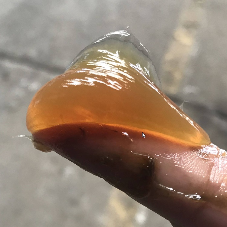 润滑脂生产厂家:锂基润滑产品的使用注意事项